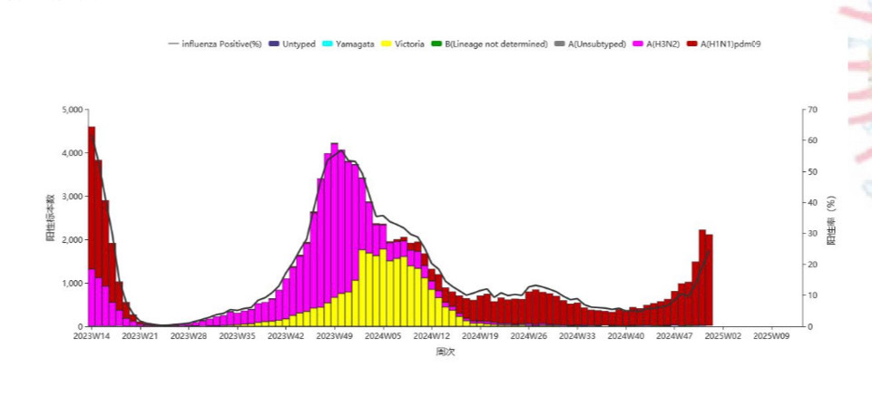 中疾控報告解析，流感病毒陽性率上升趨緩