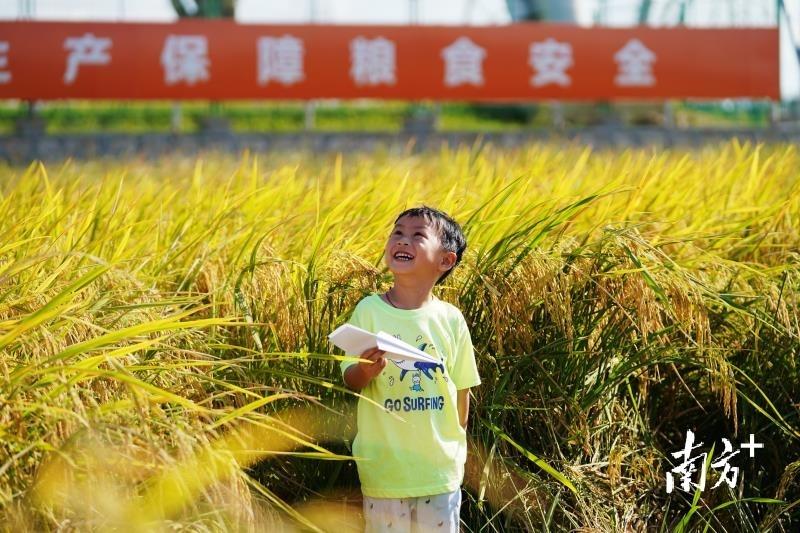 種糧大戶補(bǔ)貼政策解析，2021年的機(jī)遇與挑戰(zhàn)