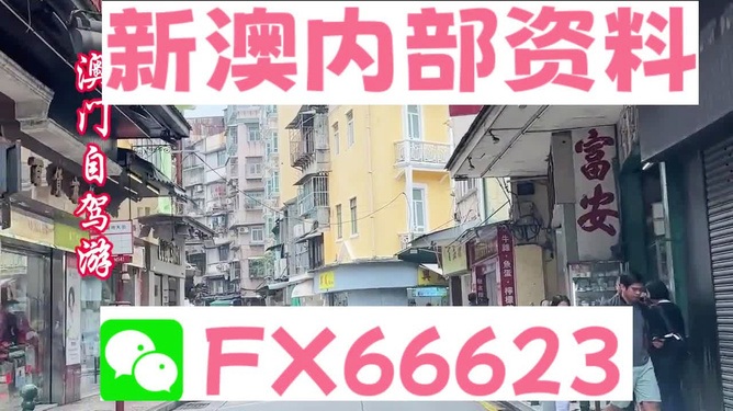 新澳精選資料免費(fèi)提供+Z48.60_動(dòng)態(tài)詞語(yǔ)解釋落實(shí)