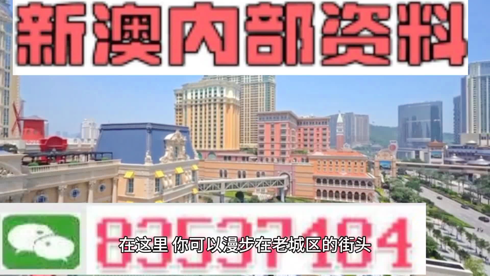 新澳門(mén)精準(zhǔn)四肖期期準(zhǔn)+V版63.746_全面解答落實(shí)