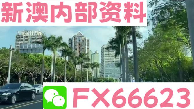 新澳精準(zhǔn)資料免費(fèi)提供4949期+進(jìn)階版60.314_反饋記錄和整理